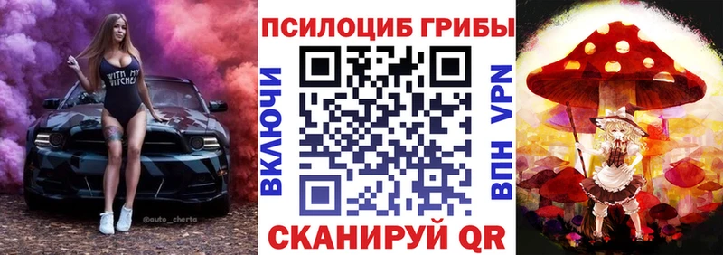 Галлюциногенные грибы GOLDEN TEACHER  Купить  Кострома 